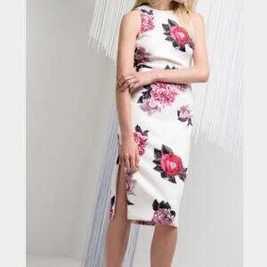 C/Meo Collective Ivory Floral Erase Me Scuba Knit Dress Sz.S NWT